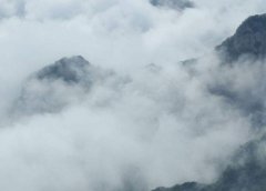 三伏天喝什么汤