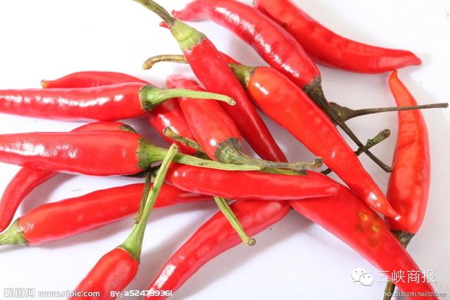 这两天你家里“返潮”了吗？商妹儿教你怎么防潮！