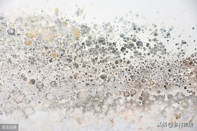 农村自建房返潮究竟是来自空气还是地下?要区分环境!看完您就懂
