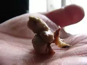 老天津的“穷人美食”,第一个你就没吃过!