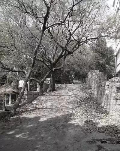 寻古探秘,厦门那些你不知道的灿烂文化底蕴......