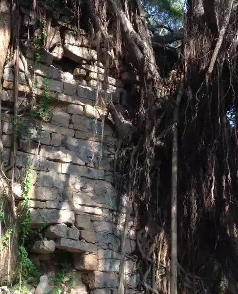 寻古探秘,厦门那些你不知道的灿烂文化底蕴......