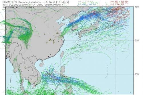 对于“台风洛坦” 你知道多少