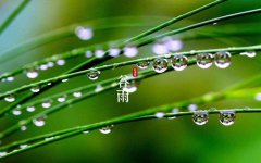 谷雨时节暮春尽，这些常