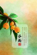 谷雨将至