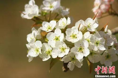 谷雨节气也是有故事的,这些习俗和养生知识了解下!