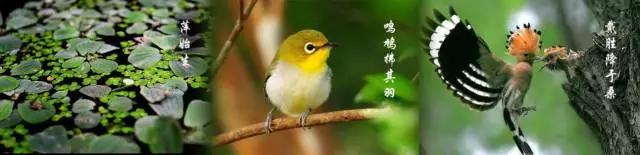 今日谷雨：怎么吃怎么补？这些养生知识你要知道