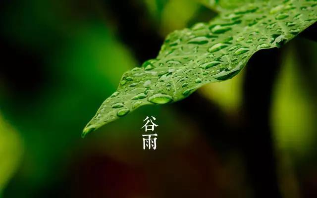 今日谷雨：怎么吃怎么补？这些养生知识你要知道