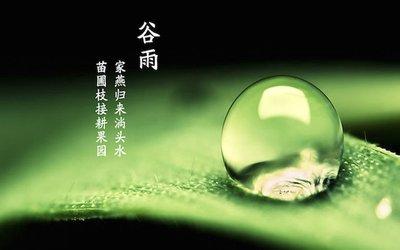 谷雨的民俗和活动,你知道多少呢?