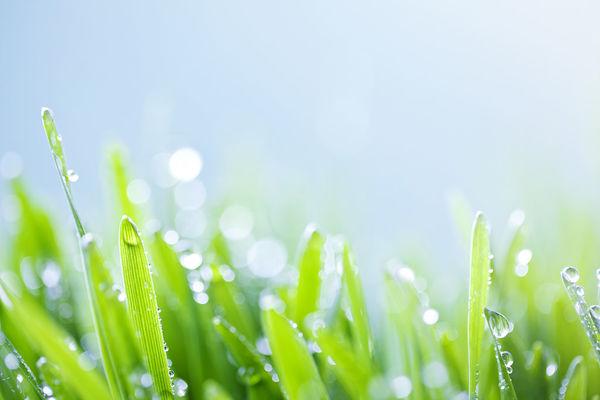 谷雨是什么时候，谷雨的气候特点有哪些