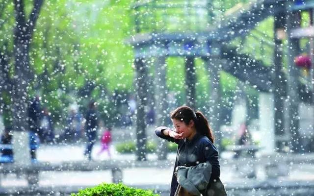 谷雨，春天的最后一个节气，生活上有哪些需要注意的？