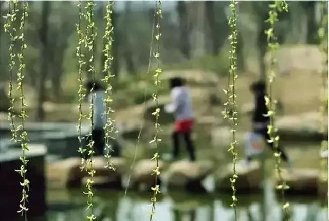 谷雨，春天的最后一个节气，生活上有哪些需要注意的？