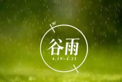 谷雨的那些事，你真的都