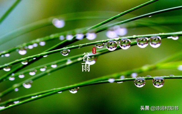 春天最后一个节气谷雨,留住最后一抹春色,10首谷雨诗词!
