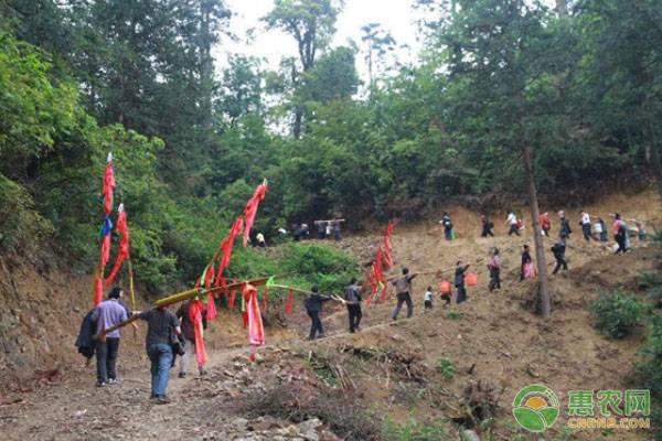 谷雨将至,各地关于谷雨的这些习俗你都知道吗?
