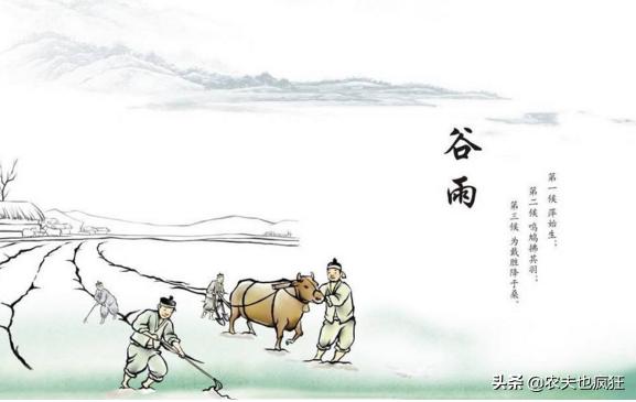 谷雨节气到了,谷雨是什么意思?谷雨节气这天会下雨吗?