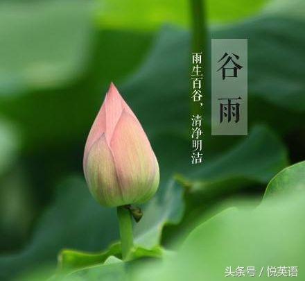 今日谷雨，二十四节气中的谷雨怎么表达？