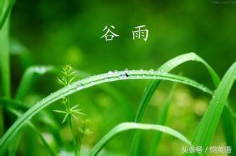 今日谷雨，二十四节气中的谷雨怎么表达？