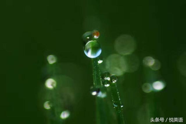 今日谷雨，二十四节气中的谷雨怎么表达？