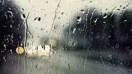 廿四节气 | 谷雨