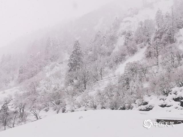 云南高黎贡山独龙江现三月雪