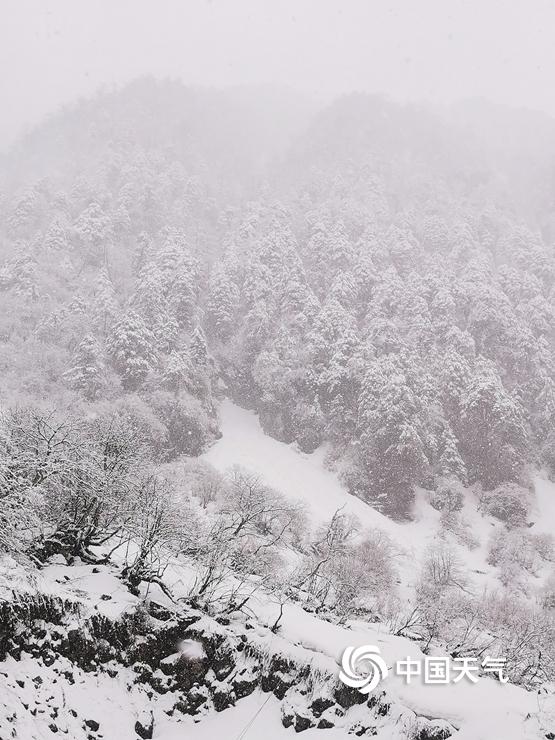 云南高黎贡山独龙江现三月雪