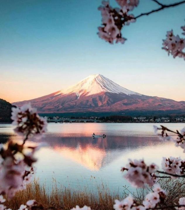 日本富士山小众打卡,领略最美樱花季!搭配温泉简直不要太舒服