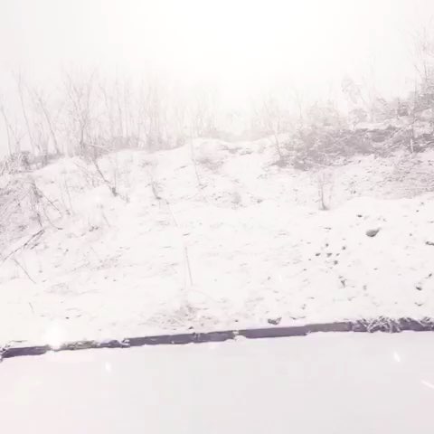 细说什么是“下雪”