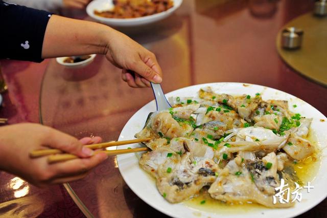梅县美食哪家强?寻找“舌尖上的梅县”网络投票结果揭晓啦