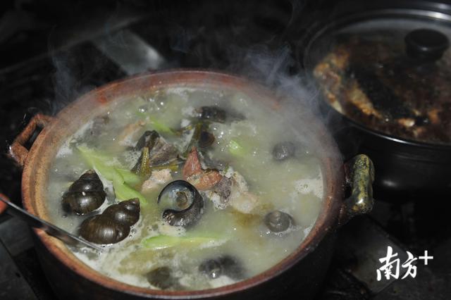 梅州人最爱的宵夜美食是它!梅县区畲江镇这道菜被誉为“盘中明珠”
