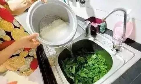 1碗淘米水,居家生活必备