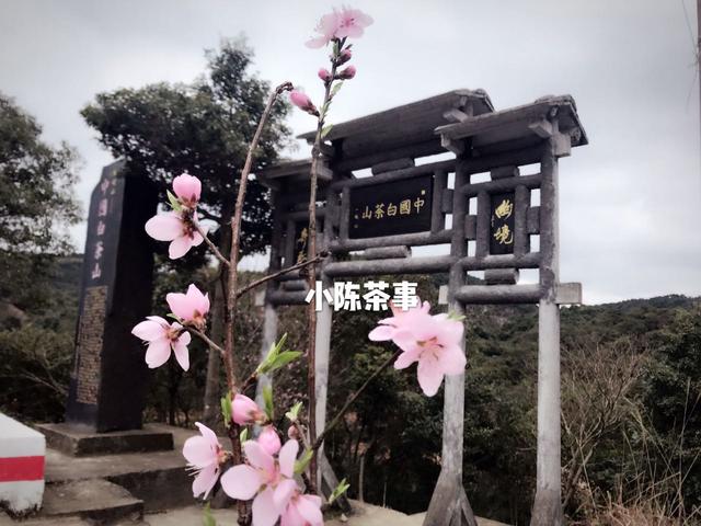 居家生活,想布置一个泡茶的小空间并不难,凑其这四种茶具就行了