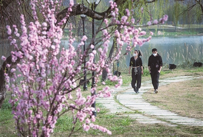 武汉迎来 晴好天气