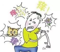 夏天来了，恼人的皮肤病也来了！预防治疗看这里