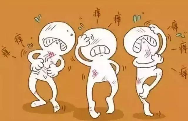 夏天来了，恼人的皮肤病也来了！预防治疗看这里