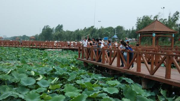 河南水乡——淮阳（美食篇）