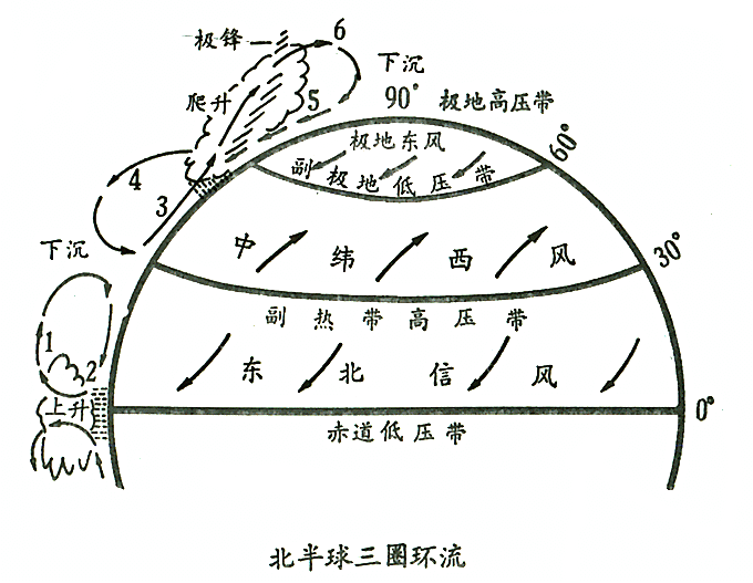 “纬向环流”是什么意思