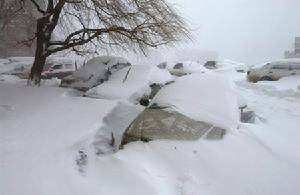 “雪灾”带来的伤害