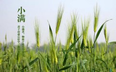 【二十四节气农业气象专