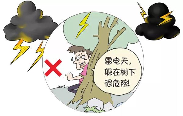 为了安全起见，人人都应该知道防雷电的常识