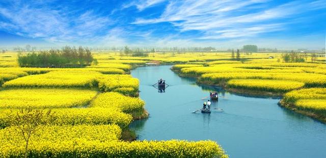 最适合赏花的景点,被评“全球四大花海”之一,景色不输日本樱花