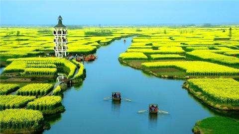 最适合赏花的景点,被评“全球四大花海”之一,景色不输日本樱花