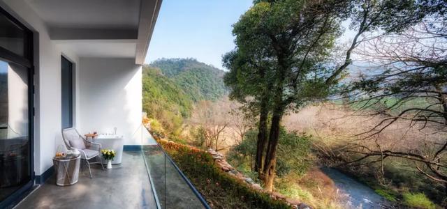 徽州藏着百亩高山茶园民宿,最有童趣的采茶、赏花记丨黄山云华栖