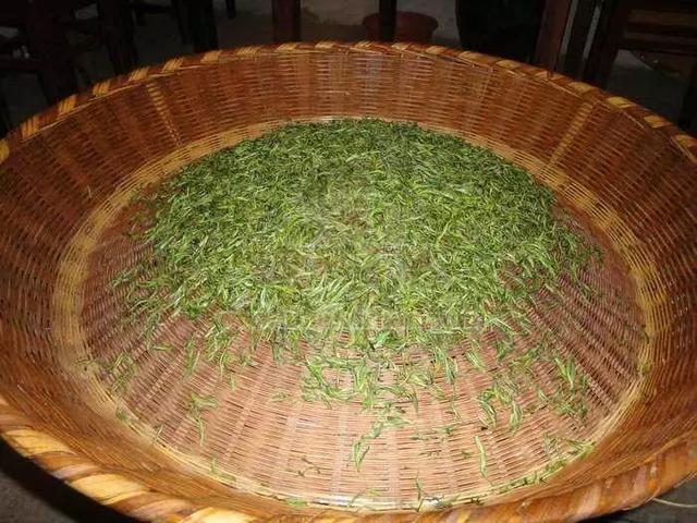 徽州藏着百亩高山茶园民宿,最有童趣的采茶、赏花记丨黄山云华栖