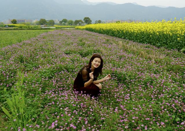 春天在哪里?春天在这里,这是中国十大最美花海