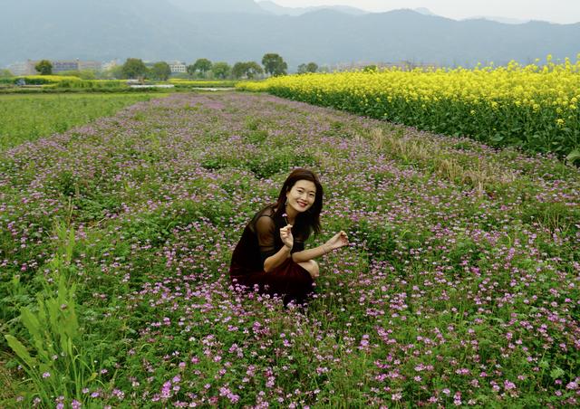 春天在哪里？春天在这里，这是中国十大最美花海