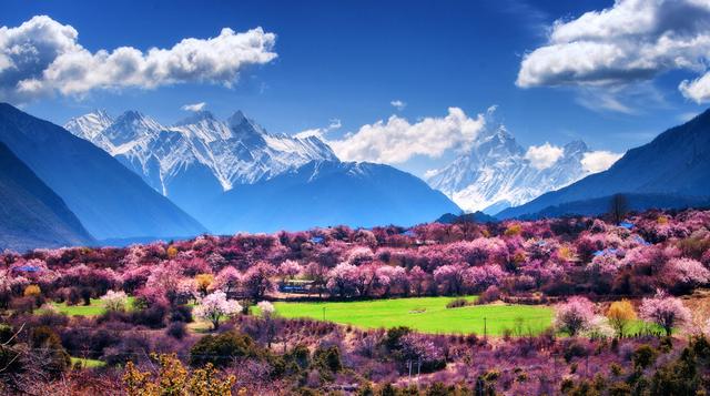 春天在哪里?春天在这里,这是中国十大最美花海