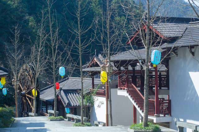 野樱花开满山的三月，我们一起去桐庐，看一场浪漫的樱花雨