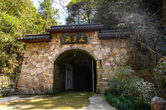 野樱花开满山的三月,我们一起去桐庐,看一场浪漫的樱花雨