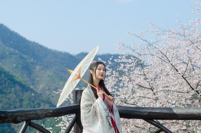 野樱花开满山的三月，我们一起去桐庐，看一场浪漫的樱花雨